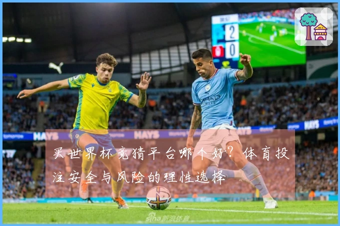 买世界杯竞猜平台哪个好？体育投注安全与风险的理性选择