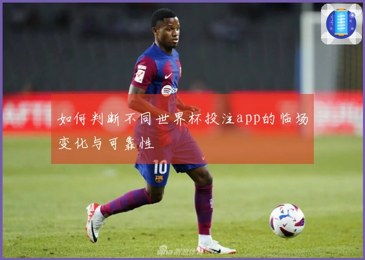 如何判断不同世界杯投注app的临场变化与可靠性